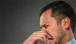 最臭的5种狗狗，别人都不敢靠近，恨不得天天帮它洗澡
