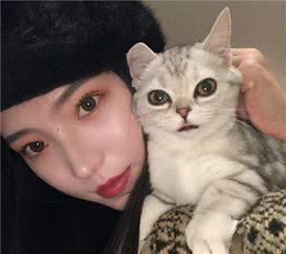 拎后勃颈不要紧？4种错误的抱猫方式，被猫嫌弃了都不知道