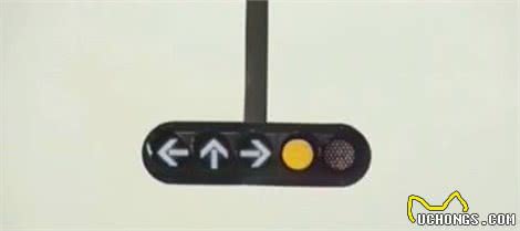“近视”、“色弱”？原来狗狗看到的世界和我们有这么大的差异