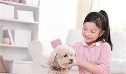 如何预防狗狗的皮肤病