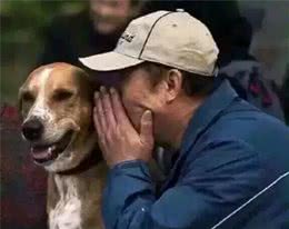 七项实用经验总结，让你更懂狗狗