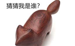 狸猫到底是哪种生物，不是狸也不是猫，实际上却是狗狗的近亲