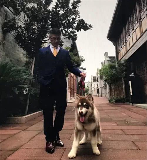 狗是人类的朋友！杜猛把赞美狗的至理名言与大家分享……