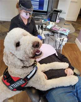 这家牙医院有只狗狗助理，有它陪伴在旁，病人们看牙也不紧张了