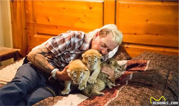 这个粗俗、暴力的大猫爱好者，引爆了北美
