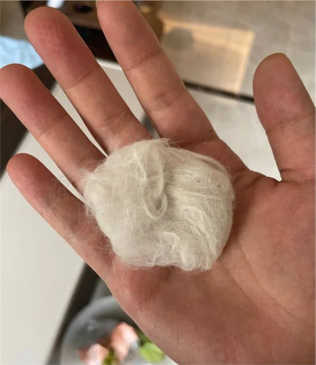 各位铲屎官和汪星人主人们，这些日常必备神器，你们准备好了吗？
