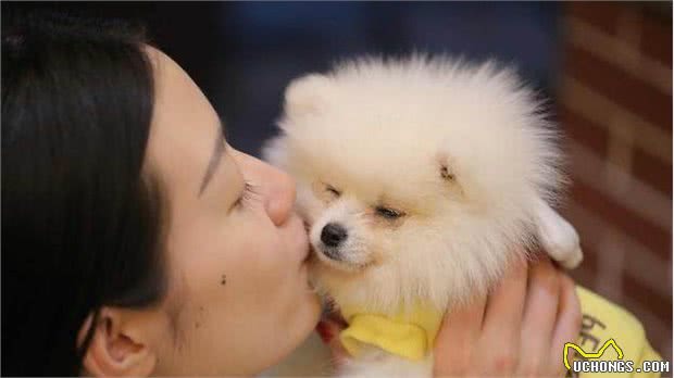 养了一只“博美犬”之后，我原本快乐的生活，就变得一塌糊涂了
