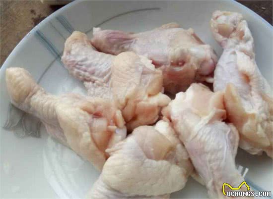铲屎官为爱犬更换食谱，以生骨肉喂食后，狗狗身体健康还不拆家！