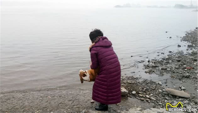 街拍趣事：睡躺椅穿背心狗狗的幸福生活