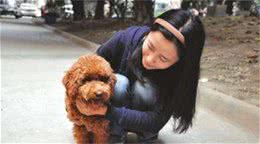 狗届中被称为“行走人民币”的品种，藏獒也在内？你认识几个