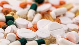 辟谣：喂狗狗吃药把药混进食物里就可以，事实上汪星人会把药扔掉
