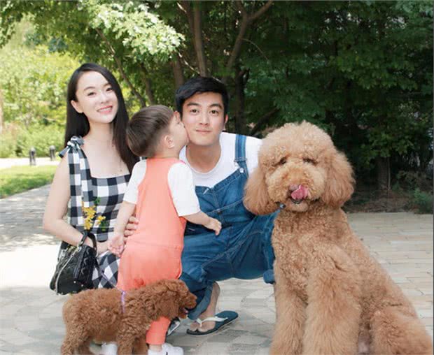 中国人买狗常避不开的“6个大坑”，买完铁定后悔