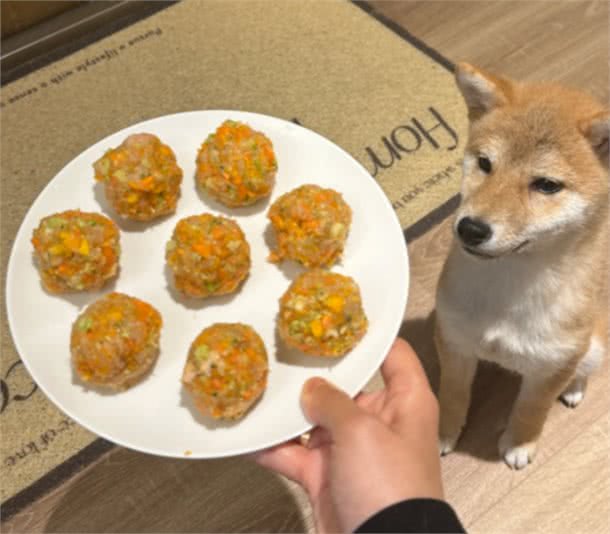 狗粮还是自制狗饭?哪种更适合狗狗?