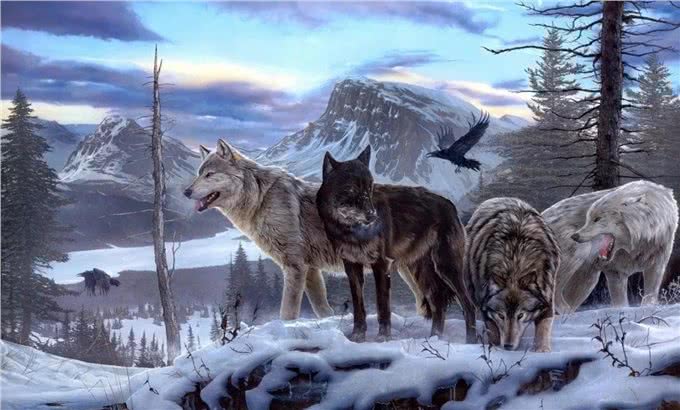 狗狗间近亲繁殖的原因何在?难道狗成年后,认不出自己母亲了?