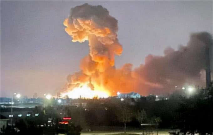 实在是可笑!对俄罗斯的猫进行制裁，猫咪:我做错了什么?