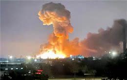 实在是可笑!对俄罗斯的猫进行制裁，猫咪:我做错了什么?