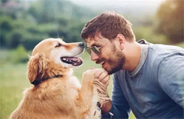 揭秘狗狗的天性特点，为何它们成为人类的最佳伙伴?