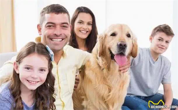 揭秘狗狗的天性特点，为何它们成为人类的最佳伙伴?