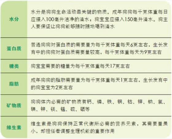 不同年龄阶段的狗狗，饮食需要注意什么?