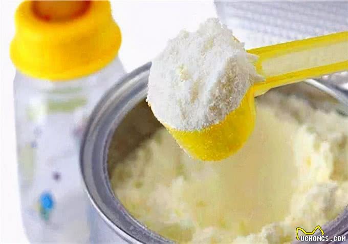 养狗须知:幼犬吃什么的东西,会比较合适?喂养注意事项分享