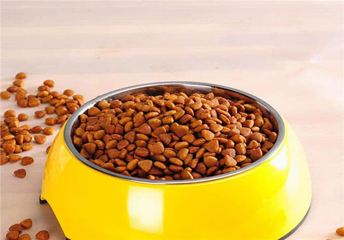 养狗须知:幼犬吃什么的东西,会比较合适?喂养注意事项分享