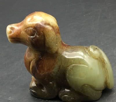 狗来财是真的!不过不是你的狗