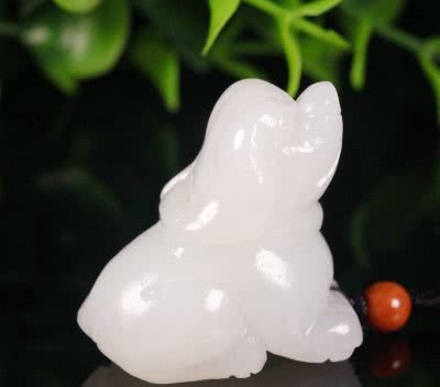 狗来财是真的!不过不是你的狗
