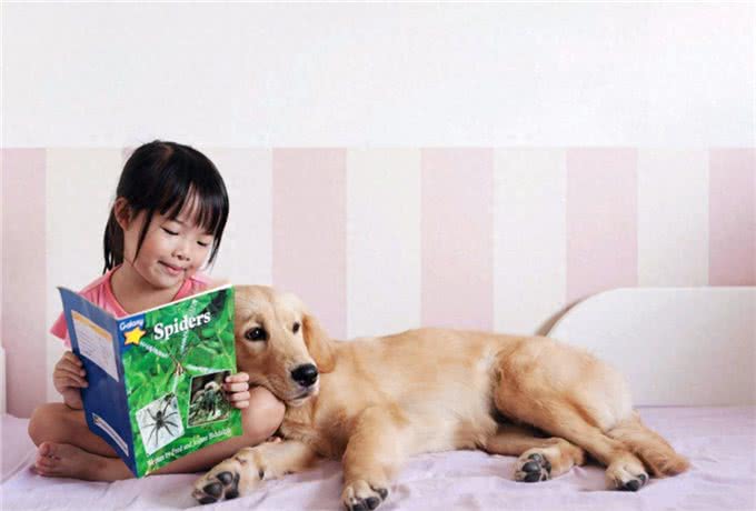 要不要给孩子养宠物,了解背后的优点,或会有答案