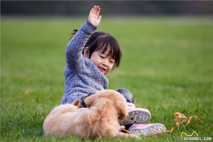 要不要给孩子养宠物,了解背后的优点,或会有答案
