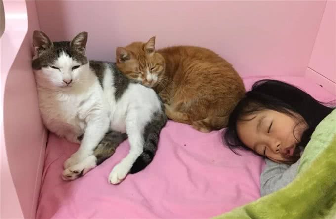 要不要给孩子养宠物,了解背后的优点,或会有答案