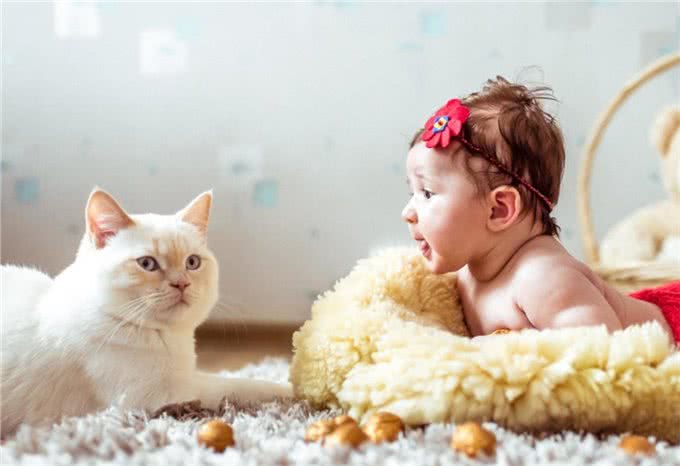 要不要给孩子养宠物,了解背后的优点,或会有答案