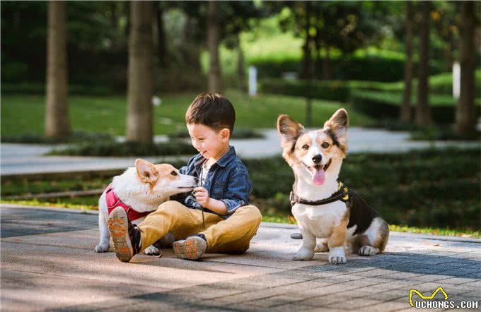 要不要给孩子养宠物,了解背后的优点,或会有答案