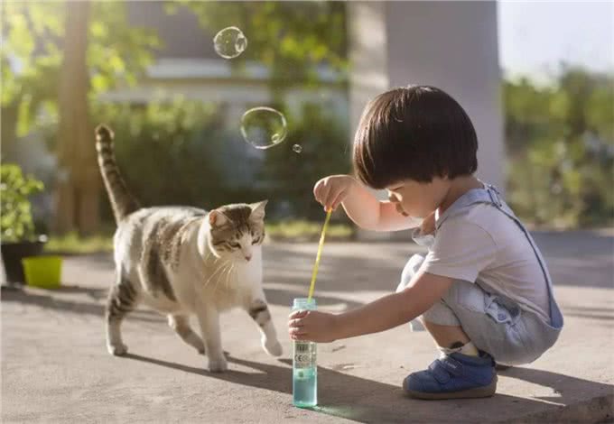 要不要给孩子养宠物,了解背后的优点,或会有答案