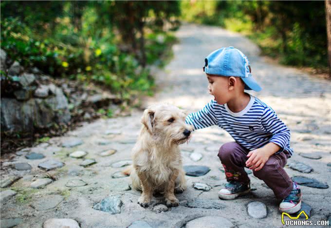 要不要给孩子养宠物,了解背后的优点,或会有答案