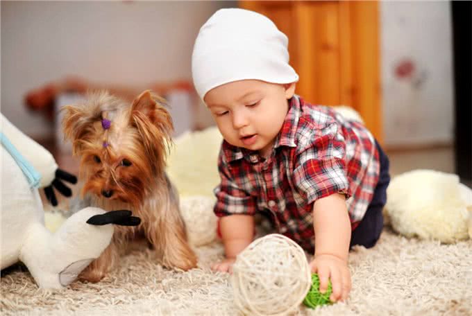 要不要给孩子养宠物,了解背后的优点,或会有答案