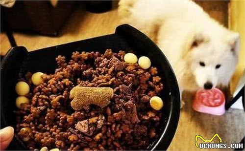 天然狗粮:狗狗寿命更长,健康更亮丽!