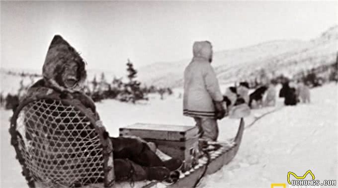 百年前的雪橇犬竟然这么萌!
