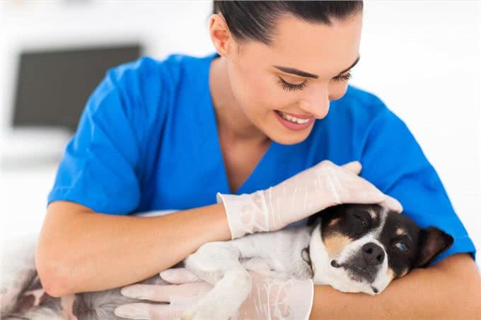 狗狗为何总流泪?难道太过伤心?这几点才是真相!