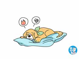 狗狗挑食怎么办?排除疾病原因后，需要使点儿小手段