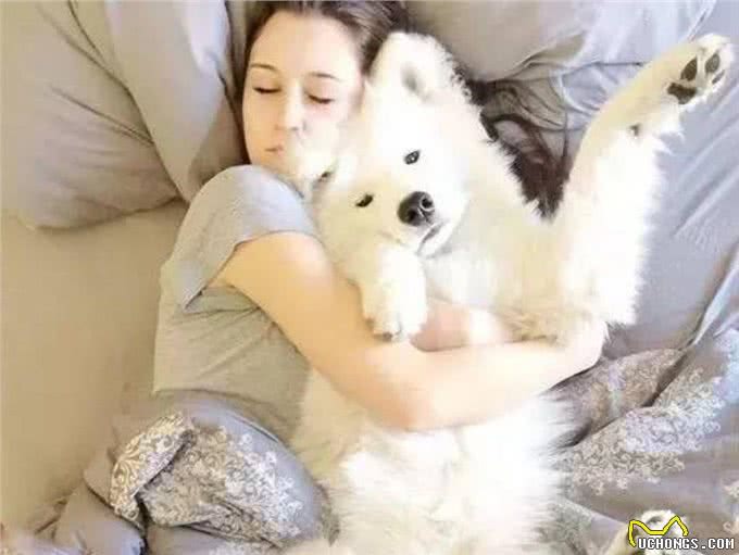 世界上唯一一种会笑的狗，与主人如影随形