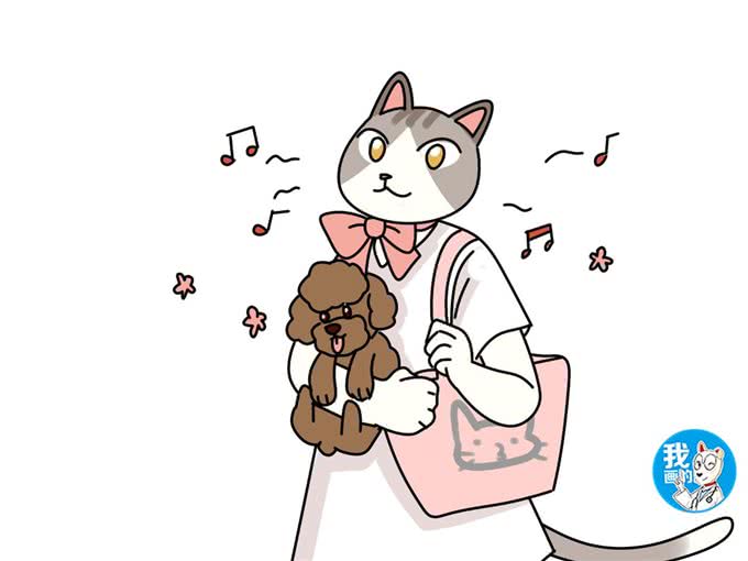 怎样给狗狗起一个好名字呢?不用请大师，这三个方向就不错