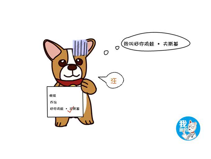 怎样给狗狗起一个好名字呢?不用请大师，这三个方向就不错