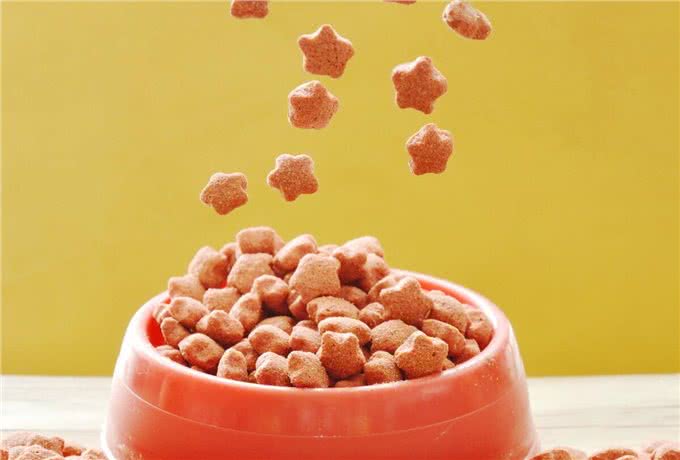 主人患糖尿病，宠物狗的糖尿病风险将增加28%?问题出在哪了?