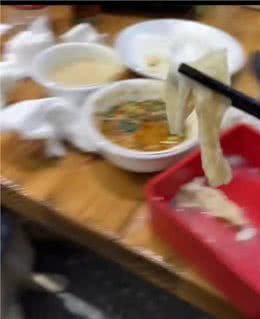 用饭店餐具给狗喂食