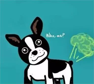 狗放屁那点事,你知道吗?