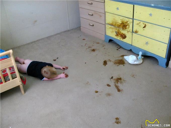 13个理由证明,原来很多时候养狗狗和养小孩,就是同一回事