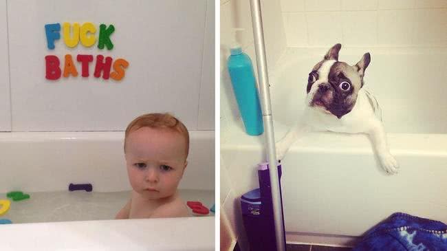 13个理由证明,原来很多时候养狗狗和养小孩,就是同一回事