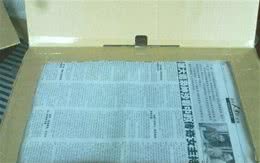 训练家中狗狗到定点的地方排便，乖乖上厕所!