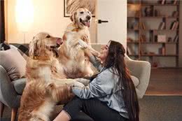 聪明狗VS笨狗:5大区别揭秘，原来我们误解了它们那么久!