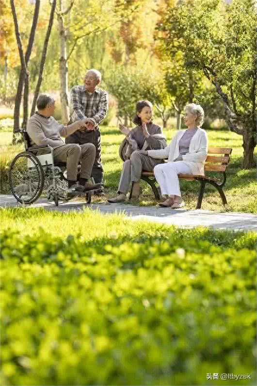 老年养生饮食篇